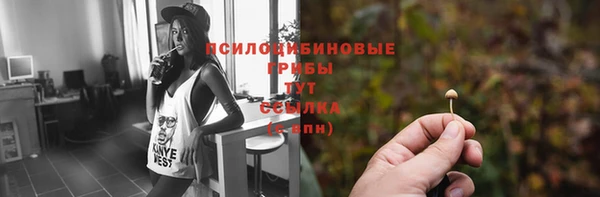 МДМА Арсеньев