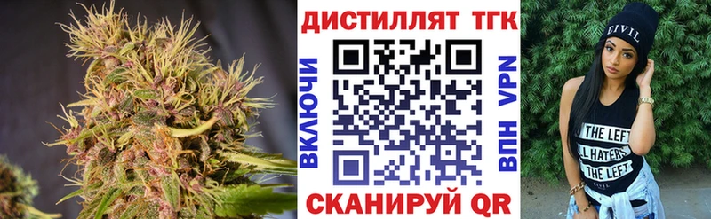 ТГК Wax  Багратионовск 